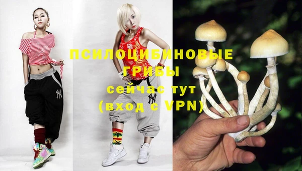 ГАЛЛЮЦИНОГЕННЫЕ ГРИБЫ Переславль-Залесский