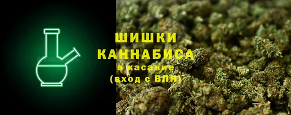 ГАЛЛЮЦИНОГЕННЫЕ ГРИБЫ Переславль-Залесский