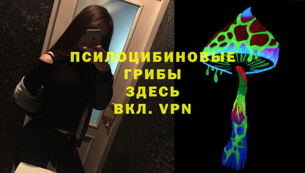 ГАЛЛЮЦИНОГЕННЫЕ ГРИБЫ Переславль-Залесский